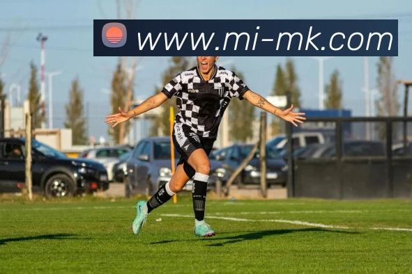 App Interface Preview